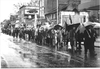 Funeral Procession of Albert Meltzer one